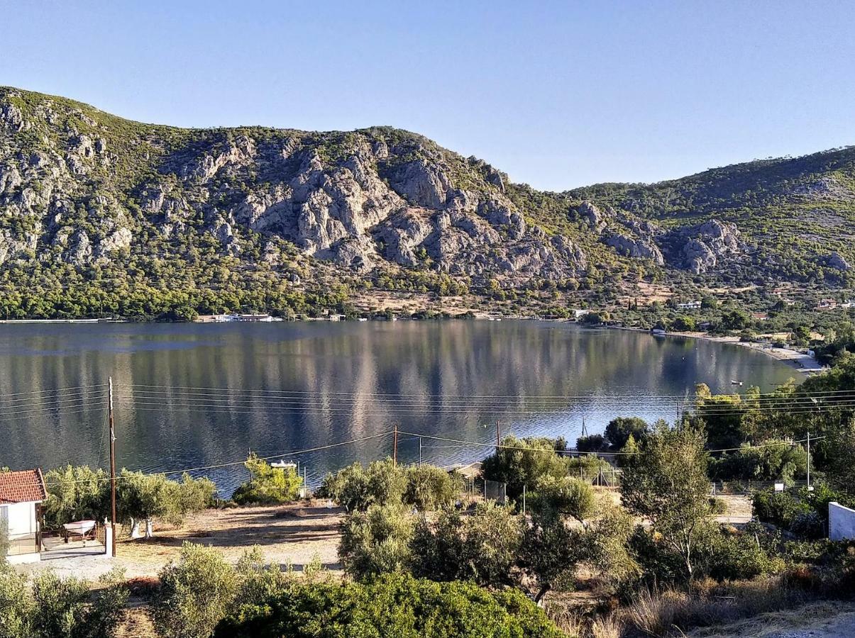 Lagoon Dreamhouse Lac de Vouliagmeni Extérieur photo